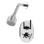 A Concealed Shower System